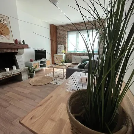 Cozy T1 Tout Confort Neuf-Mesnil